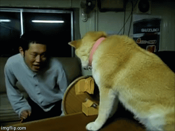 日本猥琐大叔和友爱的秋田犬